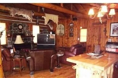 1383 Old Ferris Ln, Bitely, MI 49309 - photo 3