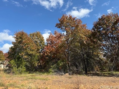 81 Summer Sky Dr, Greenbrier, AR 72058 - photo 3