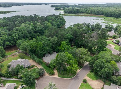 1025 Monet Cove, Brandon, MS 39047 - photo 3