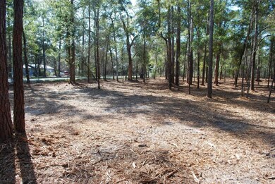 979 Lawhon Mill Rd, Crawfordville, FL 32327 - photo 5