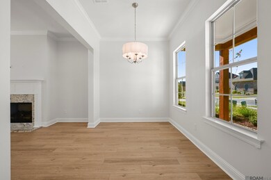 5134 Black River Rd, Darrow, LA 70725 - photo 7