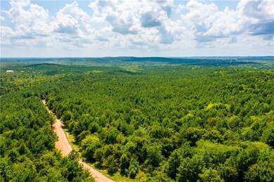 0 Ct unit 968702, Broken Bow, OK 74728 - photo 4