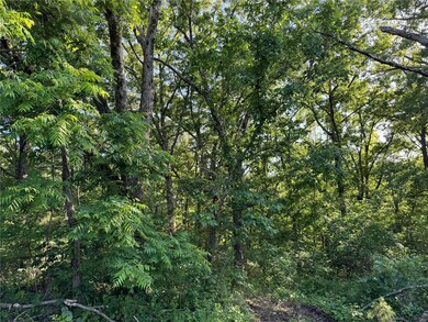 0 Conway Rd unit MAR24032740, Dixon, MO 65459 - photo 6