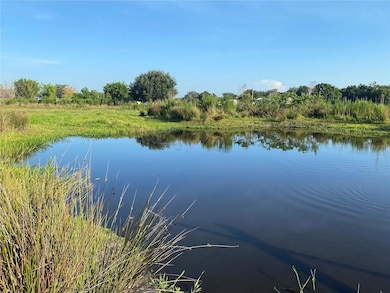 5187 Greenfields Run, Zolfo Springs, FL 33890 - photo 5