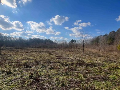 00 Lagrange Rd, Leighton, AL 35646 - photo 6