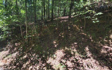 Additional View