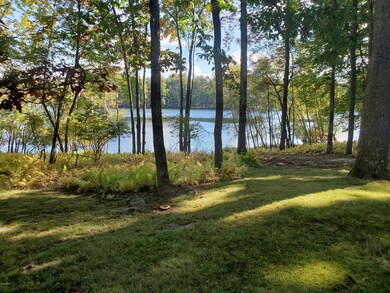 246 Fawn Lake Dr, Hawley, PA 18428 - photo 4