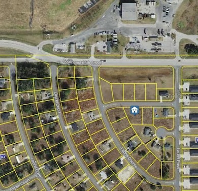 TBD Laurel Pass, Ocala, FL 34480 - photo 3