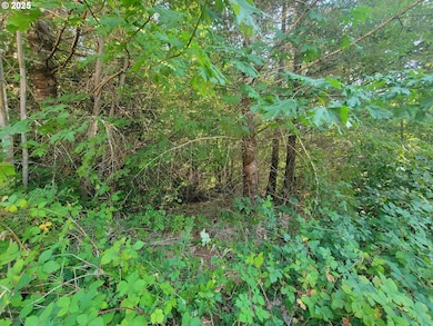 0 Finn Rd unit 591691188, Sheridan, OR 97378 - photo 6