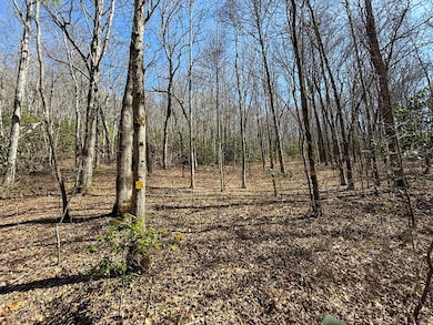 3088 Little Choga Rd, Topton, NC 28781 - photo 5