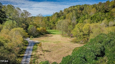 413 Willow Branch Rd, Bristol, VA 24202 - photo 2