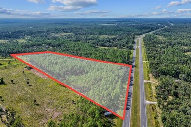 0 U S Highway 19 unit 795534, Perry, FL 32348 - photo 5