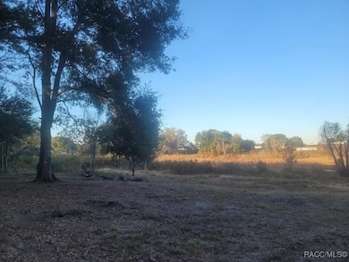 2514 Eisenhower St, Inverness, FL 34453 - photo 2