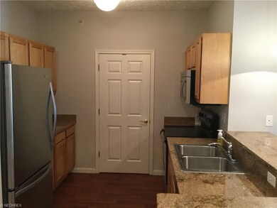 1008 Aqua Marine Blvd unit 46, Avon Lake, OH 44012 - photo 4