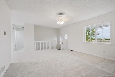 2950 Eclectic Ct, Watkins, CO 80137 - photo 5