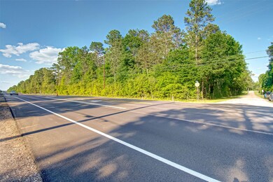 0000 Nichols Sawmill Rd, Magnolia, TX 77355 - photo 3