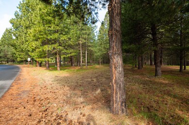 TPark_2704_051322