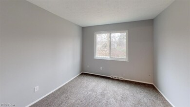26661 Lake of the Falls Blvd unit 26661, Olmsted Falls, OH 44138 - photo 7