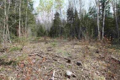 00 Agassiz St, Bethlehem, NH 03574 - photo 3