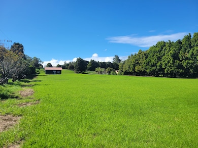 64-5109 White Rd, Waimea, HI 96743 - photo 3