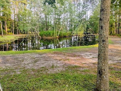 Pond