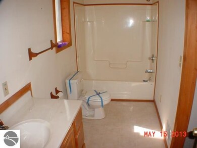 5347 E Michigan Ave, Au Gres, MI 48703 - photo 3