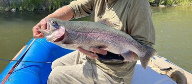 Lower Blue Fishing