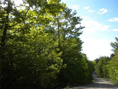 169 Beaver Dam Rd, New Gloucester, ME 04260 - photo 7