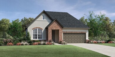 Elevation Image