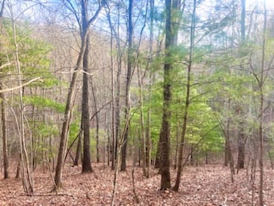 0 Maegans Dr unit LotWP001 23098892, Murphy, NC 28906 - photo 3