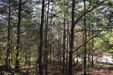 0 Holland Dr unit 3 CAR4192282, Columbus, NC 28722 - photo 4