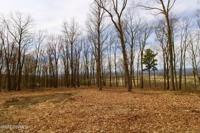 90 Danville Rd, Madison Township, PA 17815 - photo 2