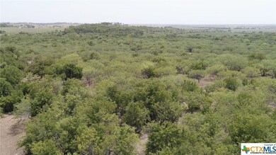 352 Montgomery Ln, Moody, TX 76557 - photo 6