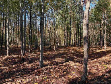 0 Bethuel Rd unit Lot 13, Unincorporated, TN 38053 - photo 5