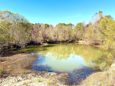 4134 Barton Ferry Rd, Columbus, MS 39705 - photo 3