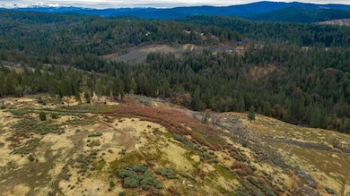 0 Pine Tree Ln unit 225032933, Pollock Pines, CA 95726 - photo 4