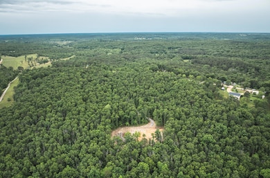 DJI_20250526114315_0683_D