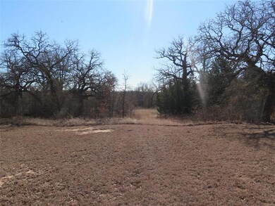 354 County Road 4690, Boyd, TX 76023 - photo 3