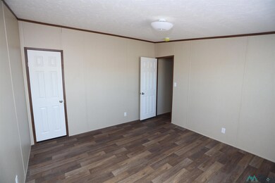 4217 Mimosa St, Carlsbad, NM 88220 - photo 6