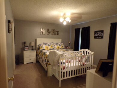 221 Edgeview Dr, Shelbyville, TN 37160 - photo 7