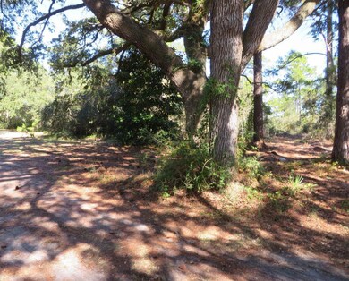 2447 Highway 98 W, Carrabelle, FL 32322 - photo 7