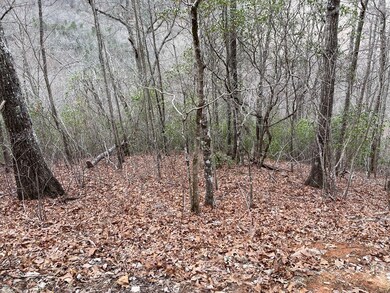 00 Hummingbird Hill Rd, Franklin, NC 28734 - photo 3