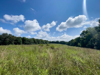 IMG_6533