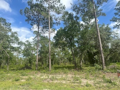 xx Ramsay Way, Panacea, FL 32346 - photo 3