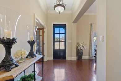Foyer featuring baseboards, dark wood-type flooring, and crown molding