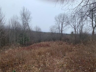 00 Matteson Rd, North Bennington, VT 05257 - photo 7