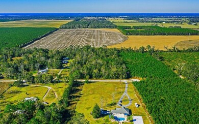 Tbd 51st Dr, Live Oak, FL 32060 - photo 6