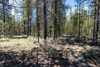 2022_07_11_lot_1300_dustin_rd_la_pine-6