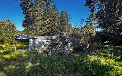 355 NE Rebecca Terrace, Lake City, FL 32055 - photo 3