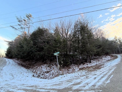 311 Beechwood Ln, Peru, VT 05152 - photo 5